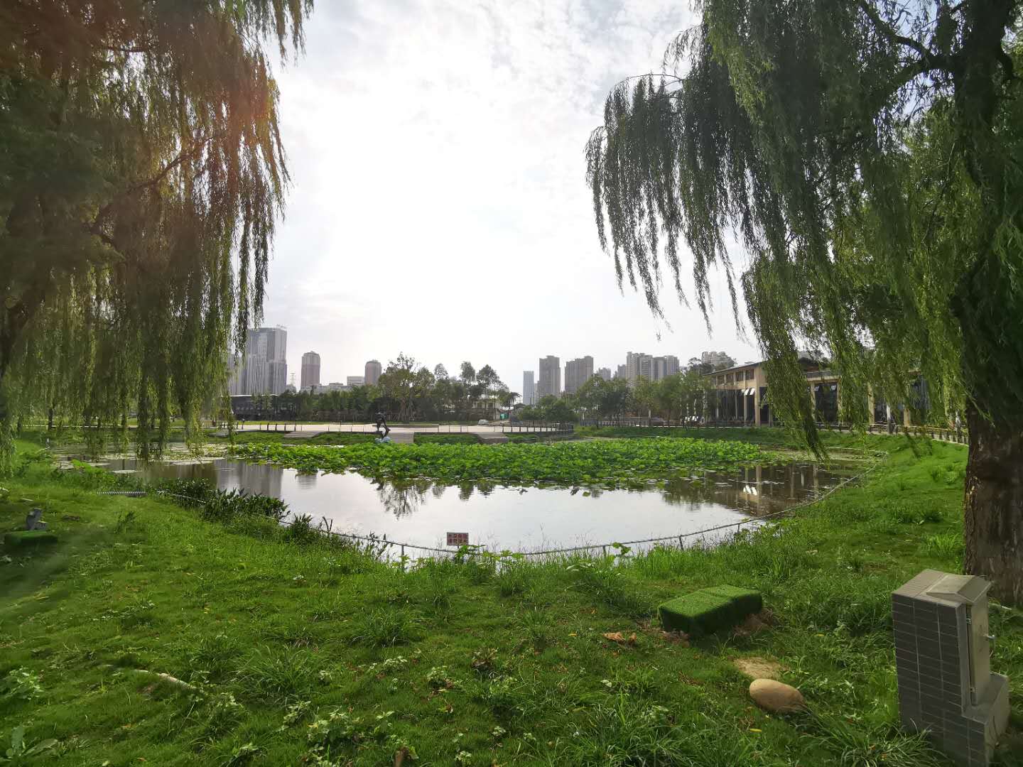 ΢ͼƬ_20200703164058